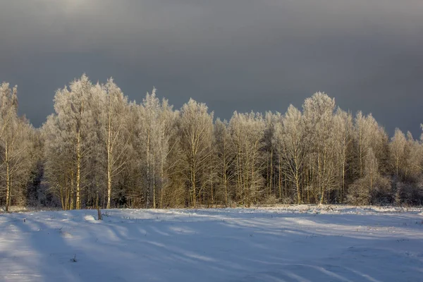 Winter Frosty Zonnige Landscapegatchina Buurt Winter Park 2018 — Stockfoto