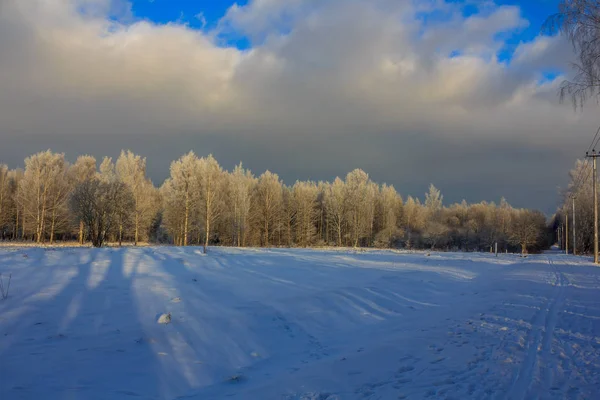 Vinter Frostiga Soliga Landscapegatchina Stadsdelen Winter Park 2018 — Stockfoto