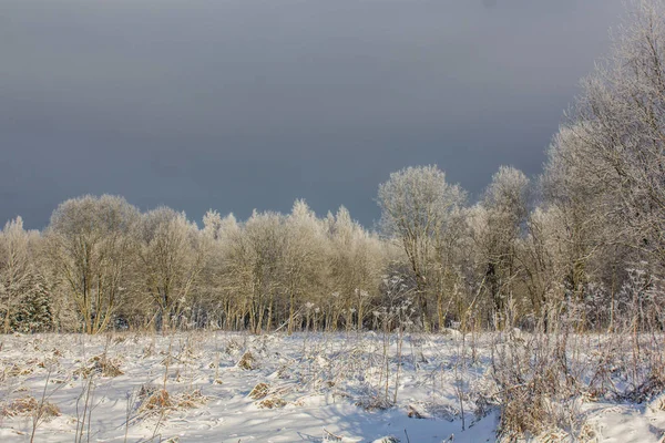 Зимний Морозный Солнечный Ландшафт Гатчина Зимний Парк 2018 — стоковое фото