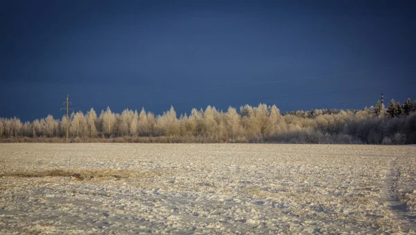 Inverno Congelado Ensolarado Paisagemgatchina Bairro Inverno Parque 2018 — Fotografia de Stock