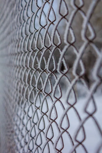 Snow Covered Mesh Netting Fence — Stock Photo, Image
