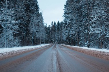 Soğuk kış roadswinter soğuk bir gün yolda