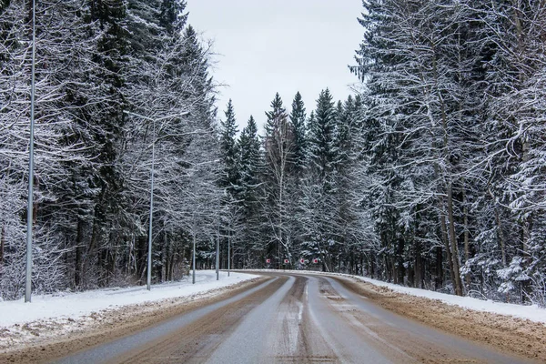 Caminos Helados Inviernocamino Invierno Día Helado — Foto de Stock