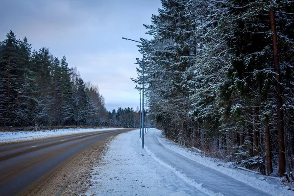 Ψυχρός Χειμώνας Roadswinter Δρόμος Ψυχρός Ημέρα — Φωτογραφία Αρχείου