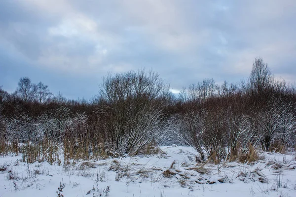 Park Zimowy Mroźny Słoneczny Landscapegatchina Okolicy Zima 2018 — Zdjęcie stockowe