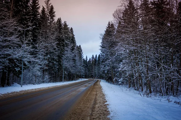 Caminos Helados Inviernocamino Invierno Día Helado — Foto de Stock