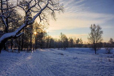 Frost ve güneş Park