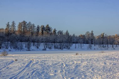 Frost ve güneş Park