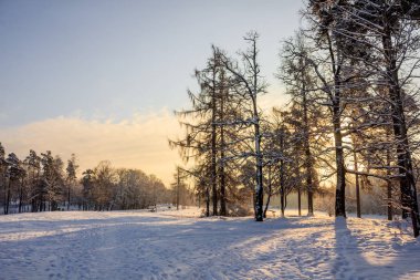 Frost ve güneş Park