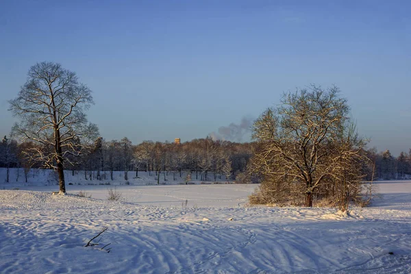 Frost Und Sonne Park — Stockfoto