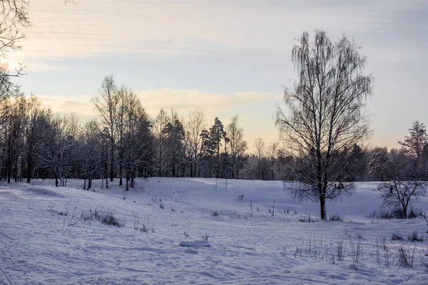 Frost Und Sonne Park — Stockfoto