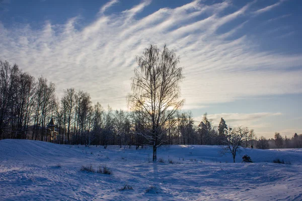 Frost Och Solen Parken — Stockfoto