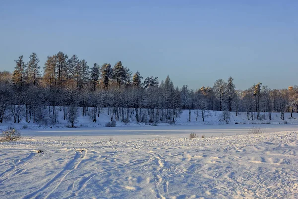 Frost Sun Park — Stock Photo, Image