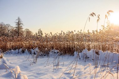 Frost ve güneş Park