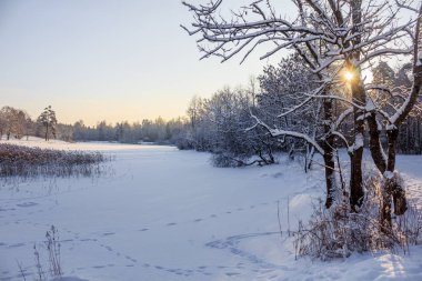 Frost ve güneş Park