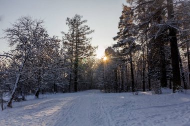 Frost ve güneş Park