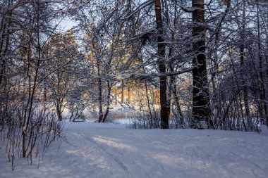 Frost ve güneş Park