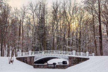 Winter park, karlı naturesnowy doğa parkı Pushkin, Rusya