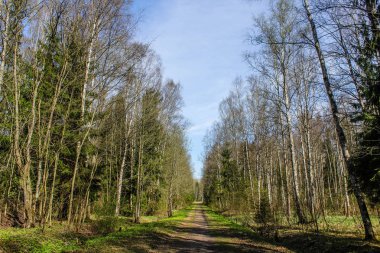 Parkta bahar manzarası