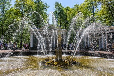 Çeşmeler Peterhof, Rusya, St. Petersburgmay 2015