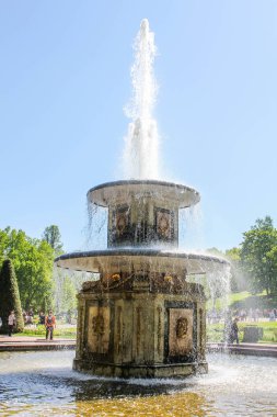Çeşmeler Peterhof, Rusya, St. Petersburgmay 2015