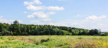 Yaz, alan yatay yeşil çim ve bulutlar gökyüzünde