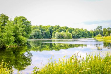Yaz parlak güneşli yeşil park