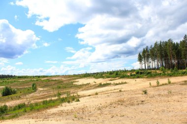 Güneşli yaz manzara şehir dışında