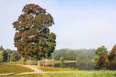 Gün ışığına Gatchina Park
