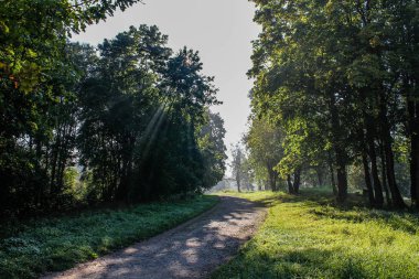 Gün ışığına Gatchina Park
