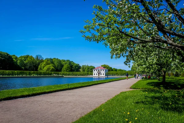 Петергоф Громадський Парк Росія — стокове фото