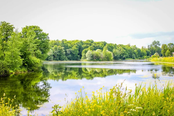 Heller Sommer Sonnig Grüner Park — Stockfoto