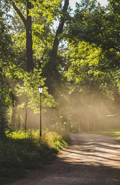 Świetle Poranka Gatczyna Park — Zdjęcie stockowe