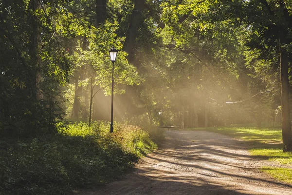 Luz Manhã Gatchina Park — Fotografia de Stock