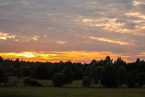 Sommersonnenuntergang Feld Leningrader Gebiet Sommersonnenuntergang Feld 2015 — Stockfoto