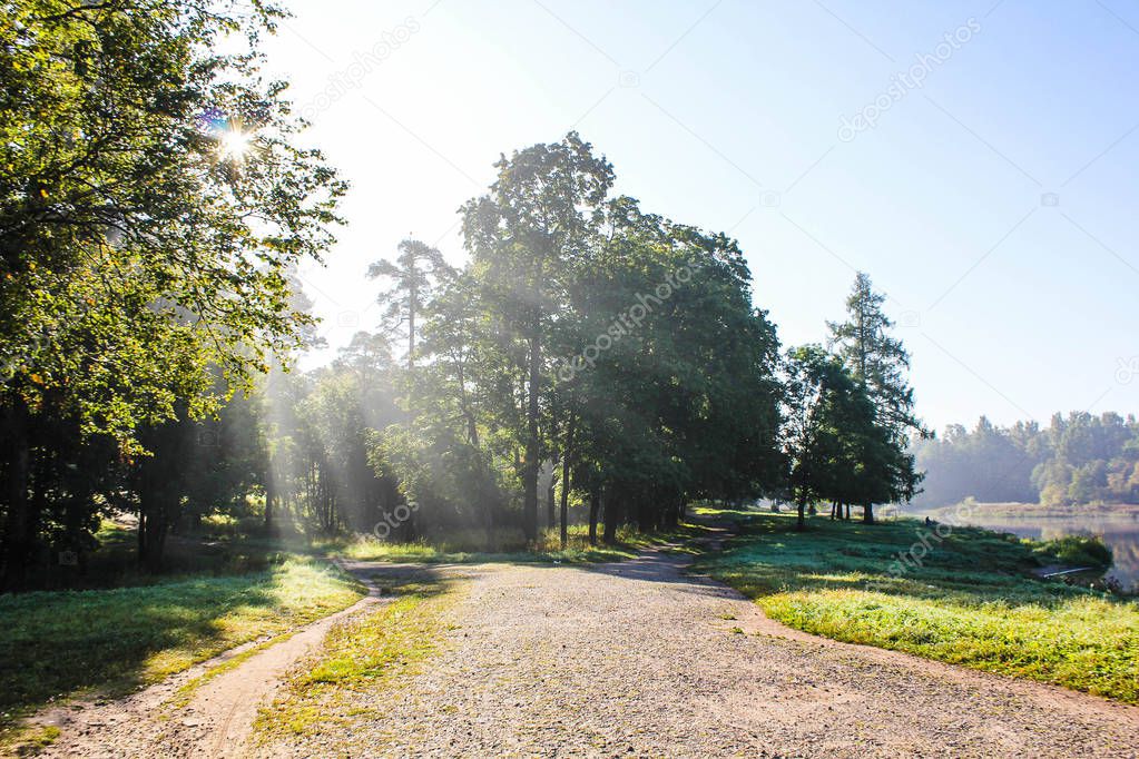 Morning light in Gatchina Park