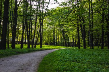 Gatchina park yaz akşamları