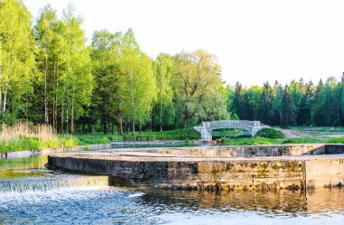 Gatchina park yaz akşamları