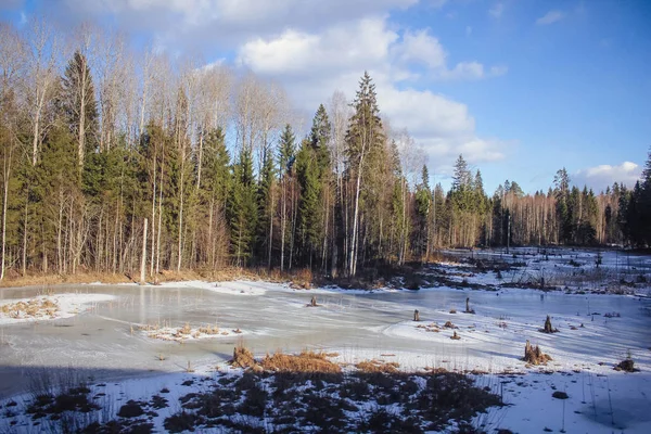 The March landscape, the sun and snow are just beginning to melt