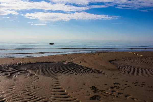 Sonniger Windstummer Tag Golf Des Meeres Leningrader Gebiet Russland — Stockfoto