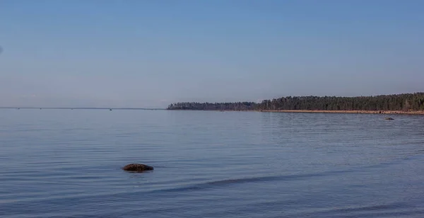 Deniz Leningrad Region Rusya Nın Körfez Rüzgarsız Güneşli — Stok fotoğraf