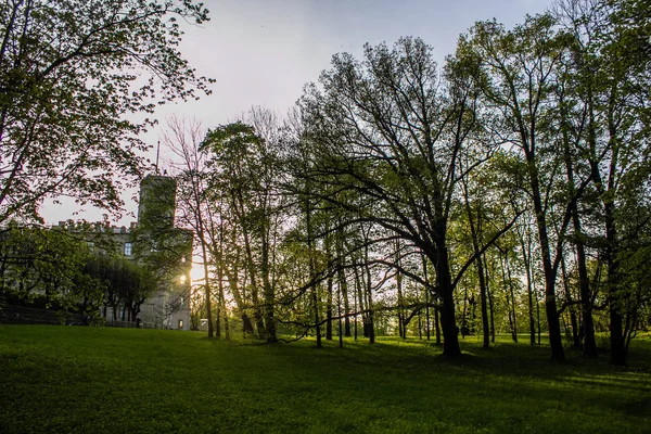 Summer Evening Park Gatchina — Stock Photo, Image