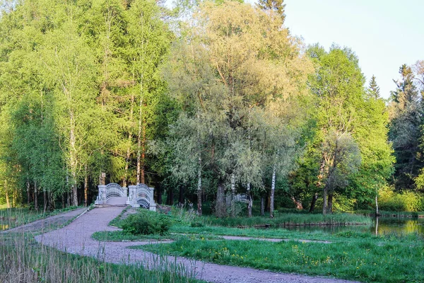 Gatchina Park Yaz Akşamları — Stok fotoğraf