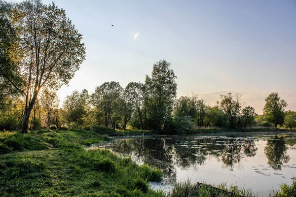 Soirée Été Dans Parc Gatchina — Photo