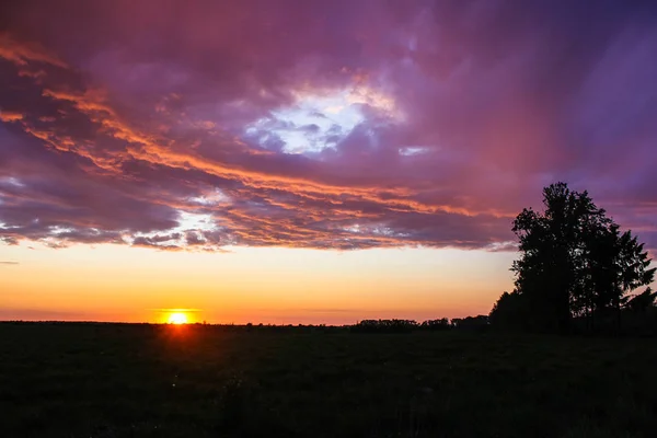 Ungewöhnlicher Sommersonnenuntergang Auf Einem Feld Einem Dorf — Stockfoto