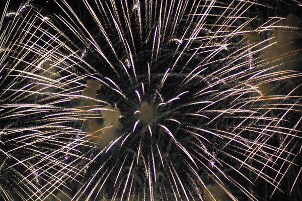 Bright Fireworks Black Sky — Stock Photo, Image