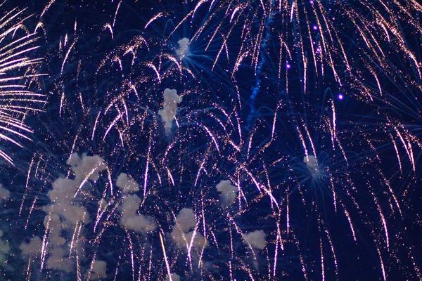 Bright Fireworks Black Sky — Stock Photo, Image