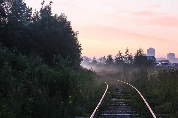 Spoorlijn Met Mist Bij Dageraad — Stockfoto