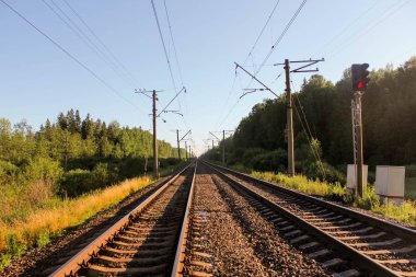 Demiryolu, her tarafı ağaçlarda