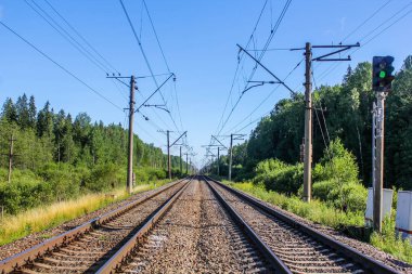 Demiryolu, her tarafı ağaçlarda